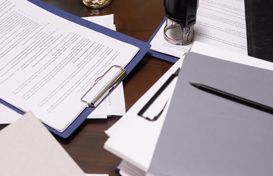 The Legal Side of Starting a Business: From Registration to IP Protection
